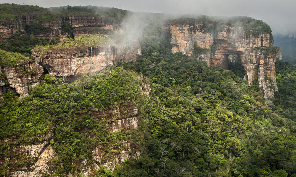 Το μεγαλύτερο τροπικό δάσος του κόσμου βρίσκεται στην Κολομβία!