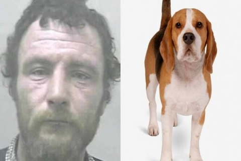 Ανδρας συνελήφθη επειδή έκανε σeξ με τον… σκύλο του