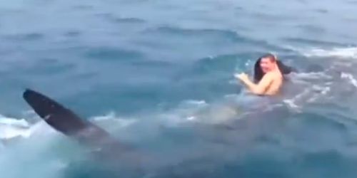 19χρονος κολύμπησε με έναν καρχαρία!