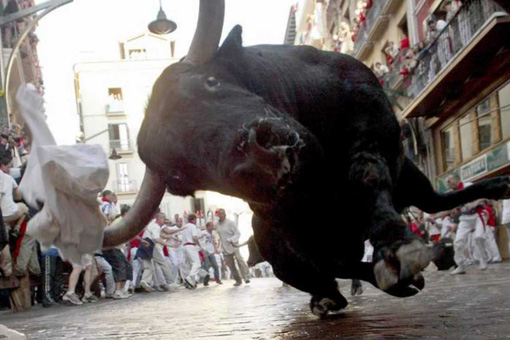 What would you do if a bull was running straight at you?
