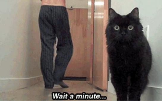 30 GIFS that will never fail to make you laugh!