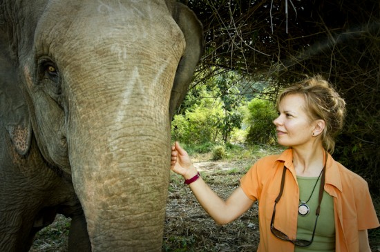 Απίστευτη αντίδραση τουρίστα ενώ έρχεται face to face με ελέφαντα (video)!