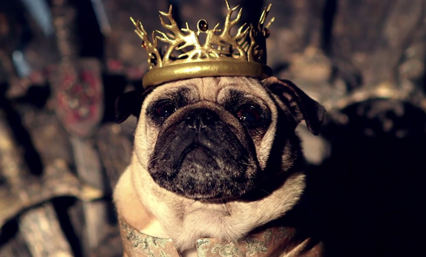 Φανταστικά pugs αναπαριστούν σκηνές του “Game Of Thrones” (video)