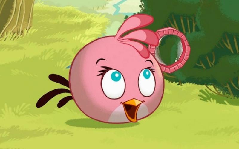 Angry Birds : Γνωρίστε το Pink Bird ( Video )