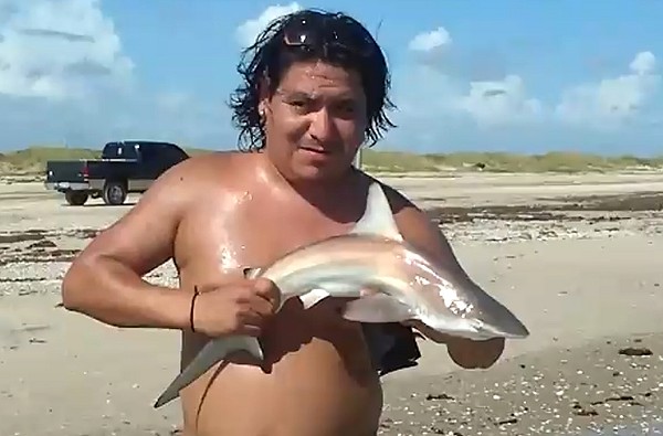 Τα σαγόνια του…μωρού καρχαρία!