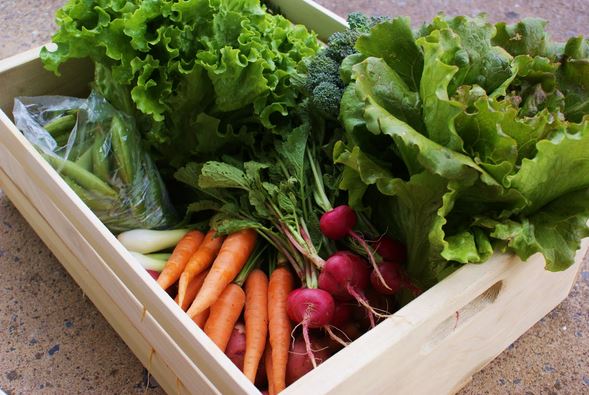 Αφαιρέστε αποτελεσματικά τα φυτοφάρμακα από φρούτα και λαχανικά!