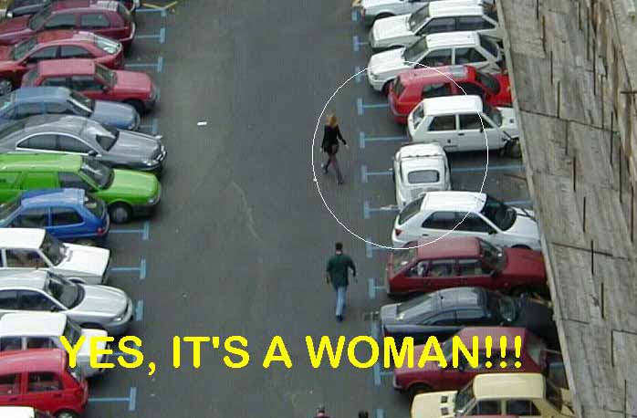 Γυναίκες στο τιμόνι… Κανείς δεν γλιτώνει! (video)