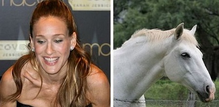 Η ομοιότητα των celebrities με τα ζώα ανά τον κόσμο είναι απίστευτη!