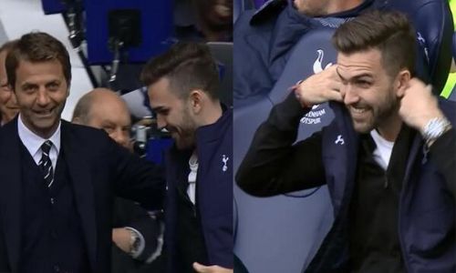 Tim Sherwood puts Spurs fan in his seat [vid]