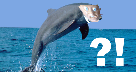 Άνθρωπος δελφίνι;;;