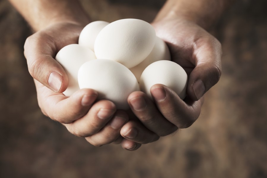 Όλα όσα πρέπει να ξέρεις για την κατανάλωση αυγών! Τι δείχνουν οι έρευνες;