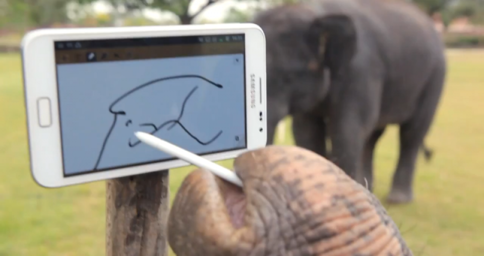 Ελέφαντας παίζει με ένα Galaxy Note!!