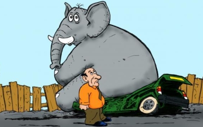 Οι ελέφαντες αντιπαθούν τα αυτοκίνητα;
