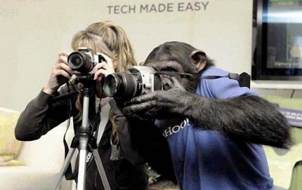Funny photographers!