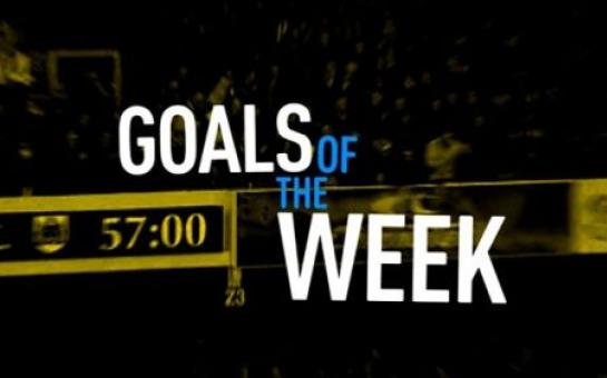Top 10 Amazing Goals Of The Week [vid]