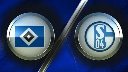 Hamburg v Schalke: Live Streaming!