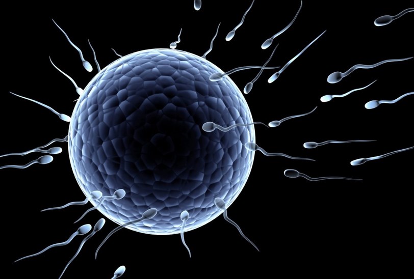 Ποιότητα και ποσότητα σπέρματος: Πόση πρέπει να είναι και ποιοι παράγοντες την καθορίζουν;