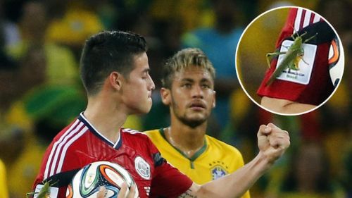 World Cup 2014: Giant lcust hops on James Rodriguez after penalty [vid]