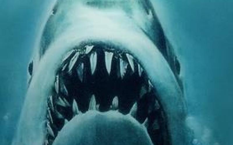 ” Jaws ” διαθέσιμο σε Βlu-Ray ( Video )