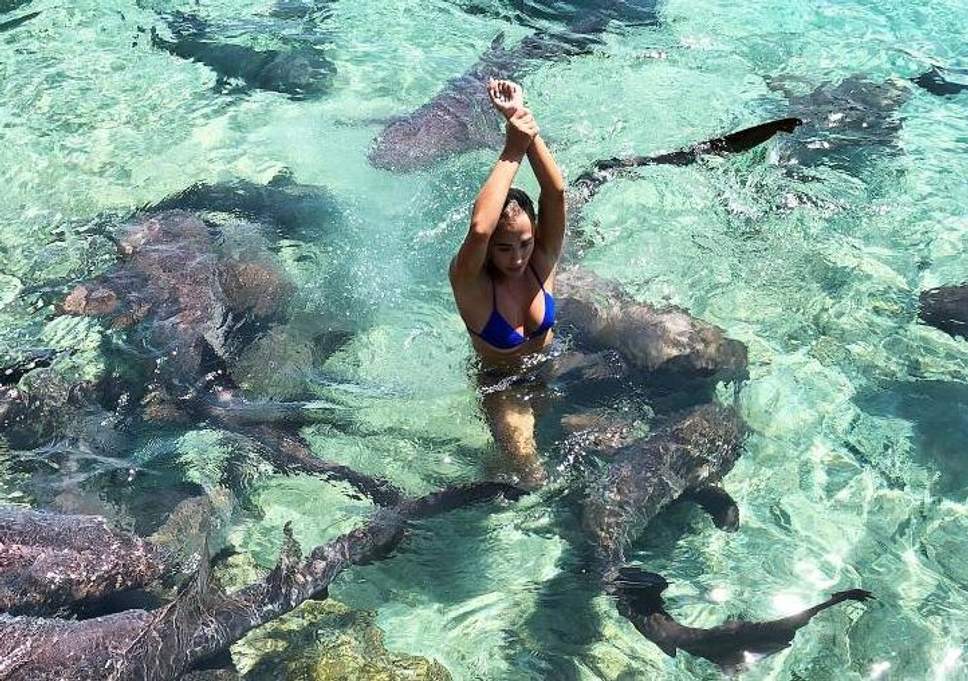 Μοντέλο του Instagram ποζάρει στις Μπαχάμες όταν ξαφνικά της επιτίθεται καρχαρίας!