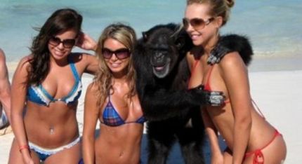 Hot girls with naughty monkeys!