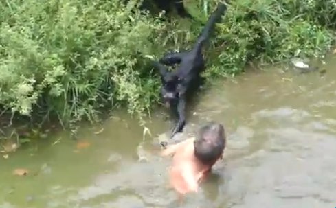 Video ΣΟΚ: Μαϊμούδες επιτίθενται σε μεθυσμένο άνδρα σε ζωολογικό κήπο της Βραζιλίας!