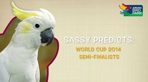 Sassy Predicts World Cup Semi-finalists