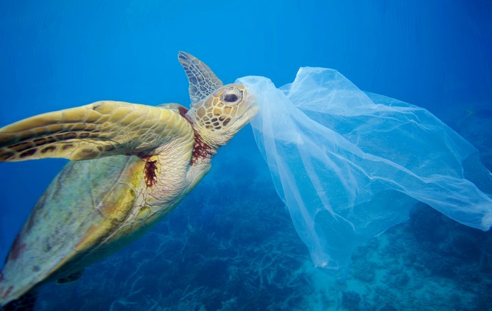 Πες ΟΧΙ στα πλαστικά – Προστάτεψε τη Μεσόγειο
