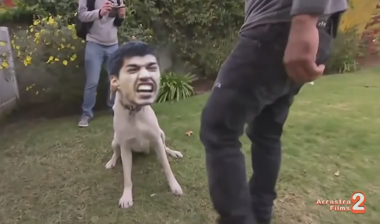 10+1 dogs that will go “Suarez” on their owners! (photos)