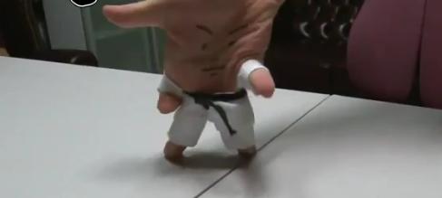 Απίστευτο βίντεο! Παίζουν taekwondo…με τα δάχτυλα!