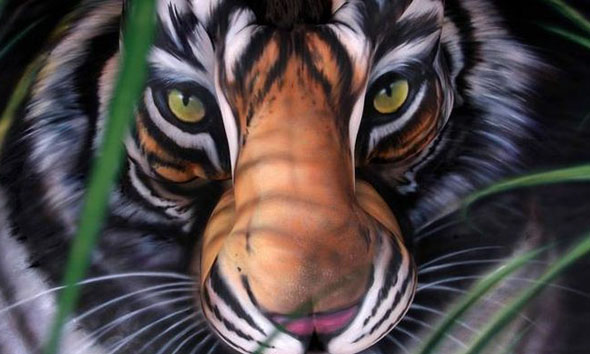 Τίγρης ή ψευδαίσθηση;
