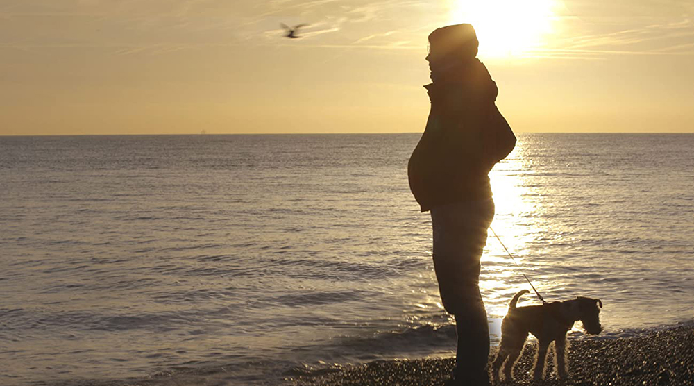 Ένας πατέρας γεννάει το παιδί του στο «Seahorse: The Dad Who Gave Birth»