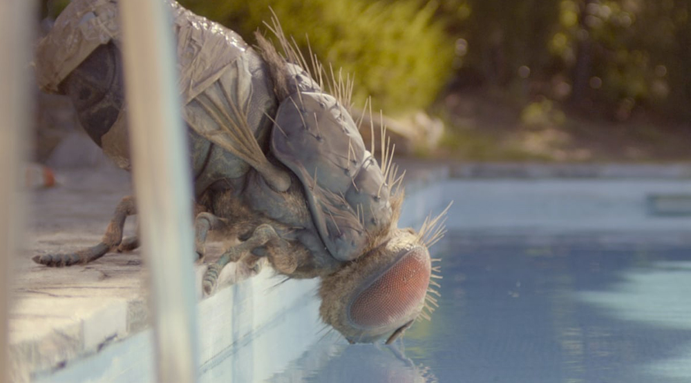 Μια γιγαντιαία μύγα στο trailer του «Mandibules»