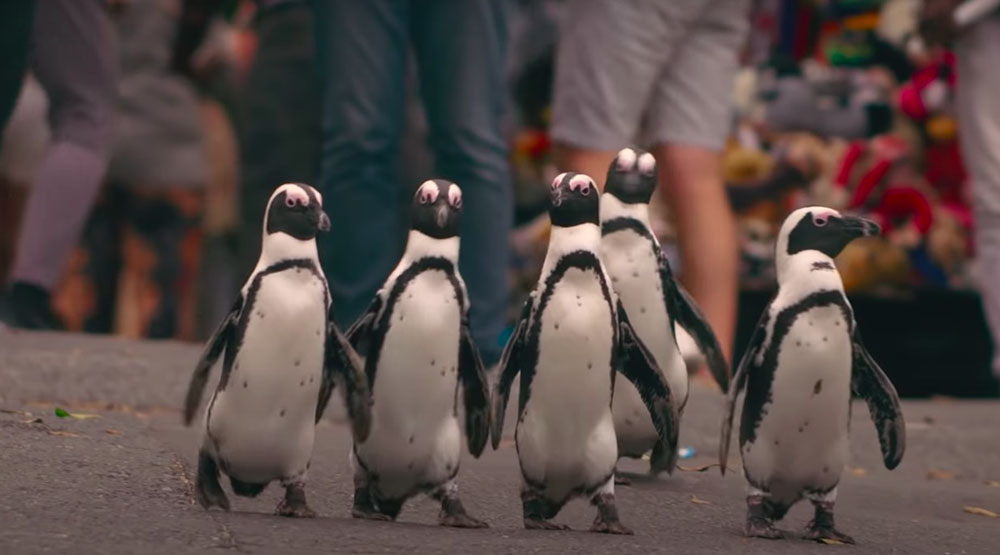 Το Netflix μας παρουσιάζει τις περιπέτειες πιγκουίνων στο «Penguin Town»